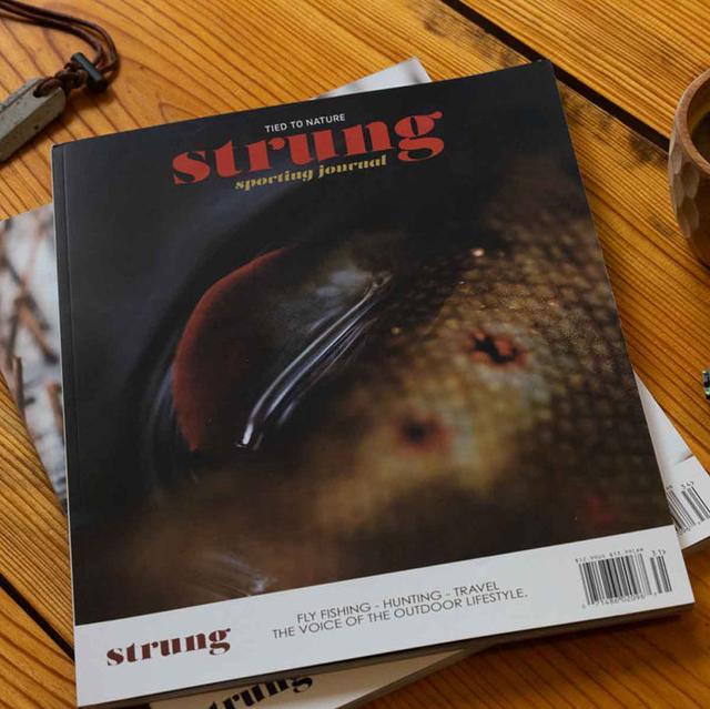 Photo from news post