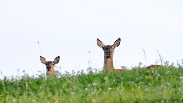 Photo from news post