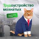 В Китае появился необычный тренд в сфере pet-friendly бизнеса! Владельцы кафе с животными предлагают хозяевам котов и собак необычную возможность - отправить своих питомцев на "работу".
• Как это работает на практике:
• Животные проводят день в специально оборудованном кафе
• Общаются с другими питомцами и посетителями
• Получают профессиональный уход и питание
• Находятся под постоянным присмотром персонала
• Преимущества такой системы:
• Питомцы не страдают от одиночества
• Владельцы не переживают за животных во время работы
• Хозяева получают бесплатные обеды в кафе
• Животные социализируются и развиваются
® Интересные факты:
• Многие кафе имеют ветеринара-консультанта
• Проводится тщательный отбор животных-"сотрудников"
• Некоторые питомцы становятся настоящими звездами соцсетей
• Подобные заведения помогают найти дом бездомным животным
#петбизнес #котокафе #домашниепитомцы
#необычныйбизнес #животные
#инновации #социализация #петфрендли #заботаоживотных #китайскиеинновации
#городскаяжизнь