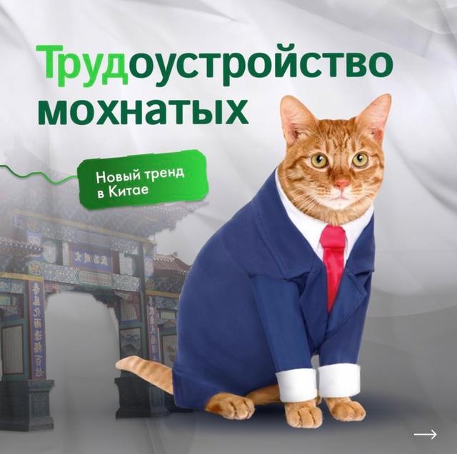 Photo from news post