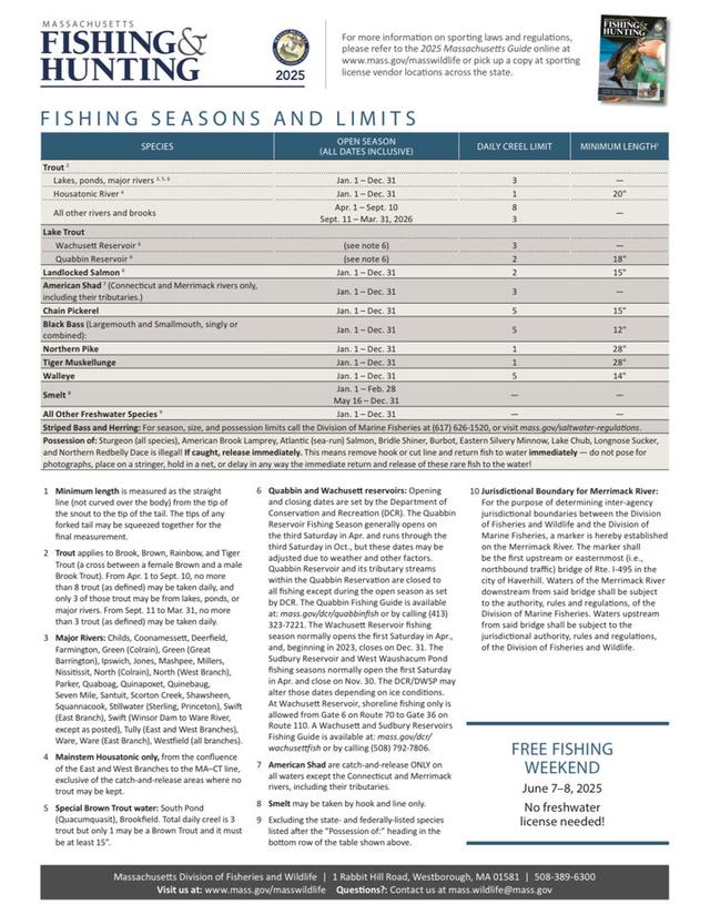 Hunting Seasons in Massachusetts 2025–26: Big Game and Small Game, Licenses, and Regulations Guide