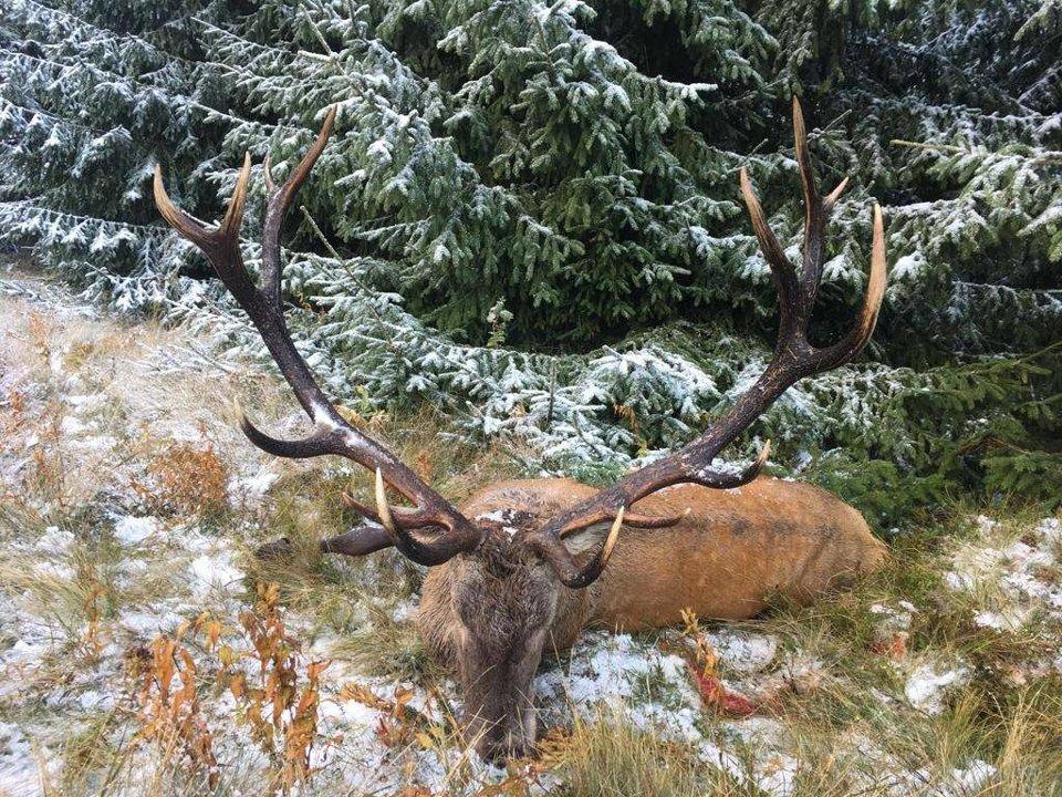 Jagd im Albula (Kanton Graubünden), Schweiz: Regionale Merkmale, Bevölkerung, Jagdansätze, Wildtiere, Jagdperioden, Vereine, Lizensen und Sitten