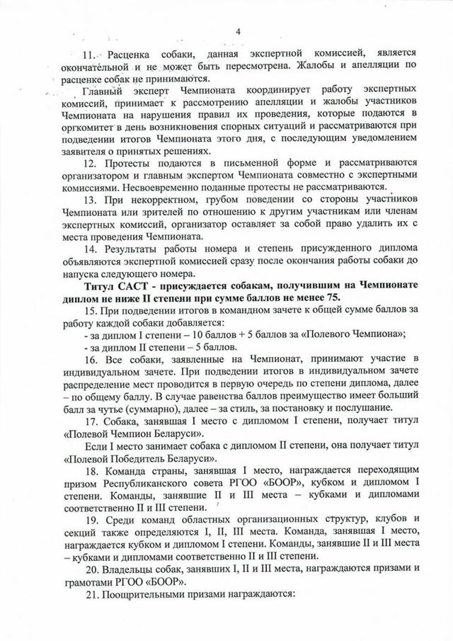 Чемпионат «Горка-2025»: главное событие для легавых собак и их владельцев в Беларуси