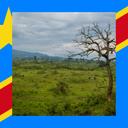 DR Congo: All About Hunting and Fishing, News, Forum