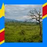 DR Congo: All About Hunting and Fishing, News, Forum avatar