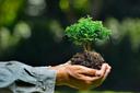 🌍🌿 Очување природе је кључ будућих ловачких авантура! 
 Лов и природа су нераскидиво повезани. Поштовање животне средине и дивљачи је предуслов за очување природног скл