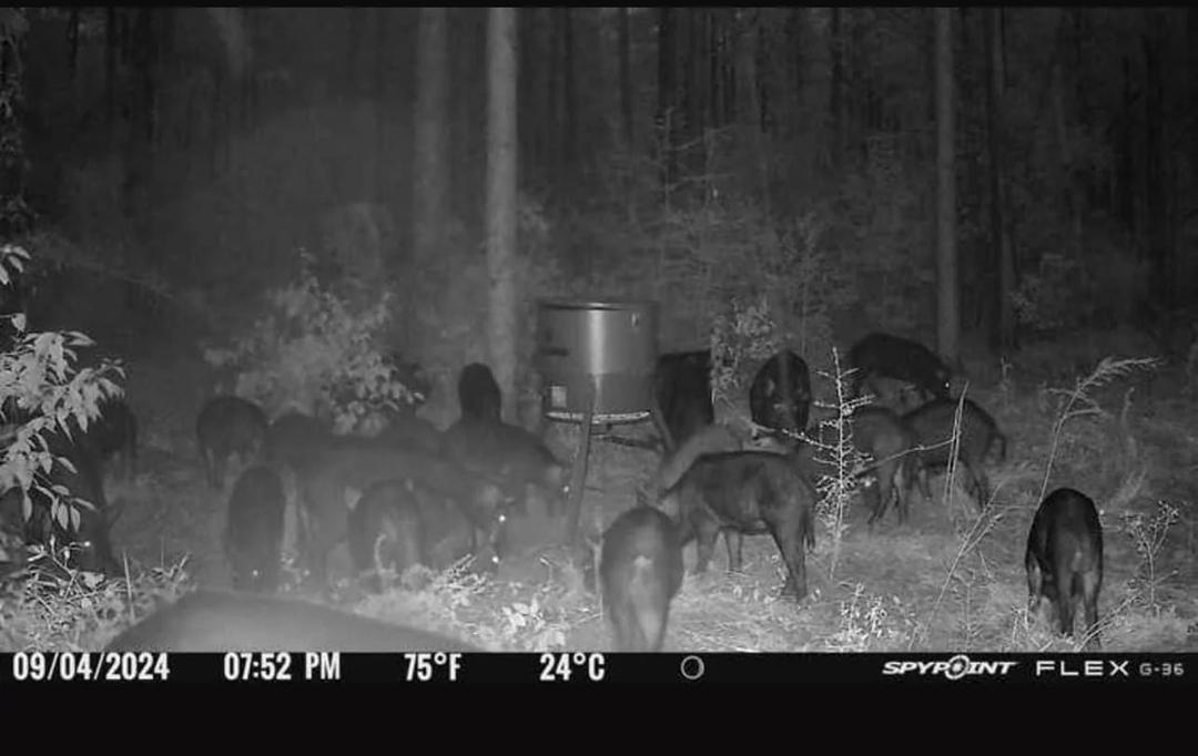 Photo from news post