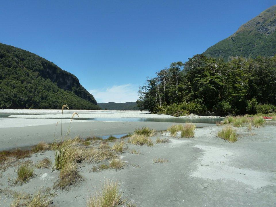Hunting alliances and groups, varieties of animals, legislation and seasons in Kahurangi National Park: the secrets of success