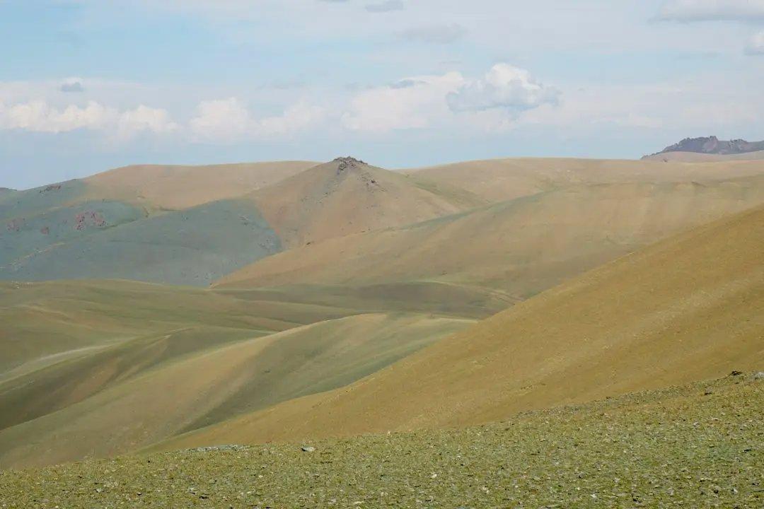 Explore the unique challenges and rewards of hunting desert hare in Morocco's Drâa Valley.