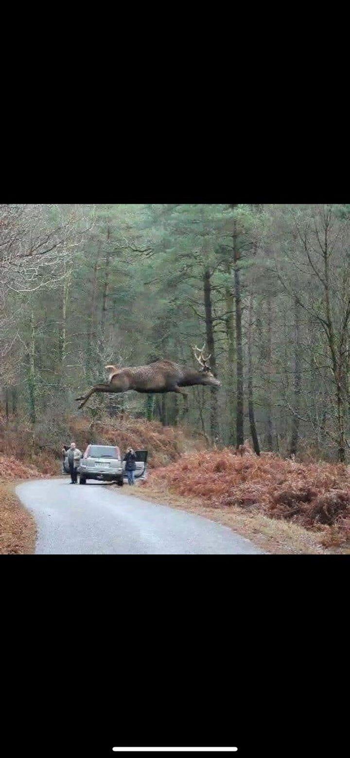 Photo from news post