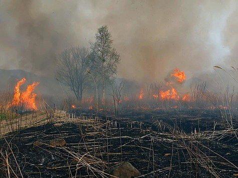 Photo from news post