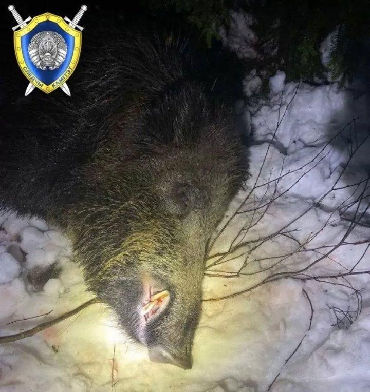 Photo from news post