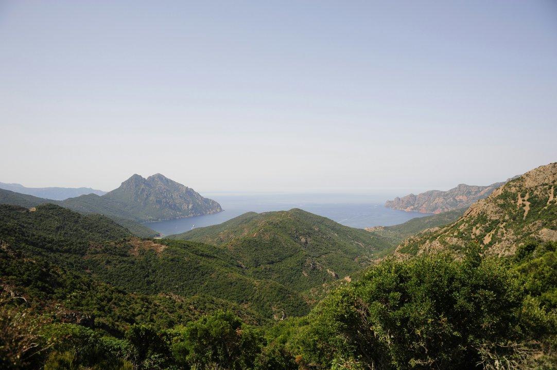 Explorer la Chasse en HAUTE-CORSE: Découvrir les Caractéristiques Régionales Uniques, Maîtriser les Lois Locales et Révéler des Faits Marquants
