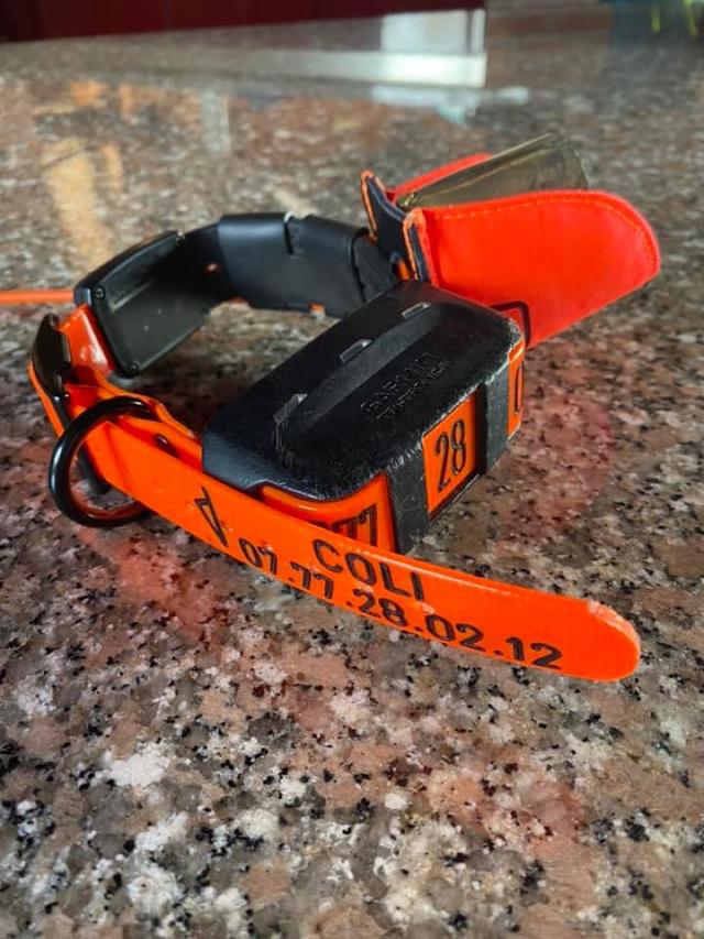 Photo from news post