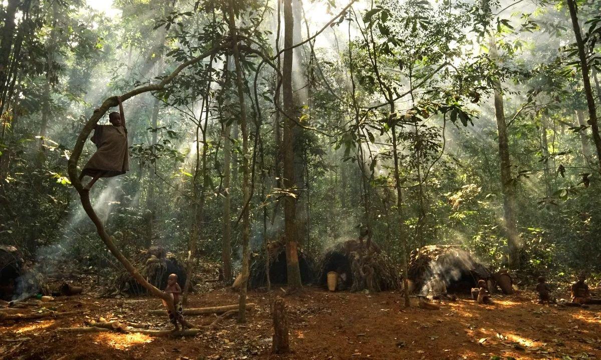 Hunting in Kémo: Exploring Geography, Navigating Regulations, and Discovering Local Traditions