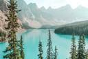 La chasse près des GRANDS LACS en Canada : Types de chasse, espèces locales et territoires lacustres

Les Grands Lacs, un vaste réseau d'eau douce composé du lac Supérieur, du lac Michigan, du lac Huron, du lac Érié et du lac Ontario, représentent bien plus qu’un écosystème naturel exceptionnel. Cette région canadienne est également une destination prisée pour les chasseurs passionnés, offrant une diversité unique de paysages et de gibiers. Plongeons dans les caractéristiques géographiques, les types de chasse disponibles, ainsi que les traditions et législations locales qui façonnent cette activité. 

Caractéristiques géographiques et naturelles de la région  

La région des Grands Lacs est parsemée de forêts luxuriantes, de marais, de rivières et de lacs poissonneux, créant un habitat parfait pour une faune variée. Les vastes étendues boisées abritent notamment des espèces emblématiques comme l’orignal, l’ours noir, le cerf de Virginie et même certains petits gibiers tels que le lièvre ou le tétras. Ces caractéristiques géographiques font de cette zone un véritable paradis pour les amateurs de chasse au gros gibier. De plus, les refuges fauniques situés autour des Grands Lacs jouent un rôle clé dans la préservation des espèces tout en permettant aux chasseurs de profiter de conditions optimales durant leurs expéditions. 

Démographie des chasseurs dans la région  

Bien que les données exactes sur le nombre de chasseurs varient selon les provinces et territoires, on estime que plusieurs milliers de chasseurs fréquentent chaque année les régions proches des Grands Lacs. Par exemple, en Ontario, où la chasse à l’orignal est particulièrement populaire, des milliers de permis sont délivrés annuellement par le ministère des Richesses naturelles. Au Québec, les zecs (zones d'exploitation contrôlée) et les pourvoiries attirent aussi une clientèle importante, tant locale qu'internationale. 

Types de chasse et animaux ciblés  

La région offre une grande variété de types de chasse adaptés à tous les niveaux: 
Chasse à l’orignal: Considérée comme l’une des meilleures expériences de chasse au Canada, elle est particulièrement prisée dans le Nord-Ouest de l’Ontario et certaines parties du Québec.
Chasse à l’ours noir: Idéale pour ceux qui recherchent une aventure plus technique, avec des territoires exclusifs proposés par des pourvoyeurs spécialisés. 
Petit gibier: Lièvres, perdrix et tétras complètent l’offre pour les chasseurs souhaitant diversifier leur expérience.
Pêche sportive combinée: De nombreux lacs autour des Grands Lacs permettent de combiner la chasse avec la pêche aux brochets géants. 

Saisons de chasse dans la région  

Les saisons de chasse diffèrent selon les espèces et les zones géographiques. Voici quelques exemples généraux: 
Oriental: La saison de chasse à l’orignal s’étend généralement de septembre à novembre dans la plupart des régions.
Bears: La chasse à l’ours noir se déroule principalement au printemps et à l’automne, selon les régulations provinciales. 
Petit gibier: Accessible toute l’année dans certaines réserves autochtones sous réserve de droits spécifiques. 
Il est essentiel de consulter les calendriers provinciaux avant de planifier une expédition. 

Associations et clubs de chasseurs  

Plusieurs organisations soutiennent les pratiques responsables de chasse dans la région. Parmi elles figurent Canards Illimités Canada, qui œuvre pour la conservation des habitats humides, ainsi que divers clubs locaux affiliés aux fédérations provinciales de chasse et pêche. Ces entités fournissent non seulement des informations précieuses mais organisent également des événements pour rassembler la communauté. 

Législation de la chasse  

La chasse près des Grands Lacs est strictement encadrée par les gouvernements provinciaux et territoriaux. Chaque chasseur doit posséder un permis valide et respecter les quotas fixés pour préserver les populations animales. Dans certaines zones protégées, comme le refuge faunique de la Grande-Île au Québec, l’accès peut être restreint afin de protéger les écosystèmes fragiles. 
 
Traditions et faits intéressants  

La chasse dans cette région n’est pas seulement une activité récréative; elle fait partie intégrante de la culture locale. Pour les communautés autochtones, elle constitue une pratique ancestrale essentielle à leur mode de vie. 
Les pourvoyeurs québécois perpétuent également ces traditions en offrant des séjours immersifs qui mêlent authenticité et modernité. 
Un fait fascinant: certains territoires exigent un minimum de deux chasseurs par groupe, favorisant ainsi le travail d’équipe et renforçant les liens entre participants. 

La région des Grands Lacs au Canada est une destination incontournable pour les chasseurs cherchant à allier beauté naturelle, biodiversité et tradition. Que vous soyez amateur ou expert, prenez le temps de découvrir ses richesses.