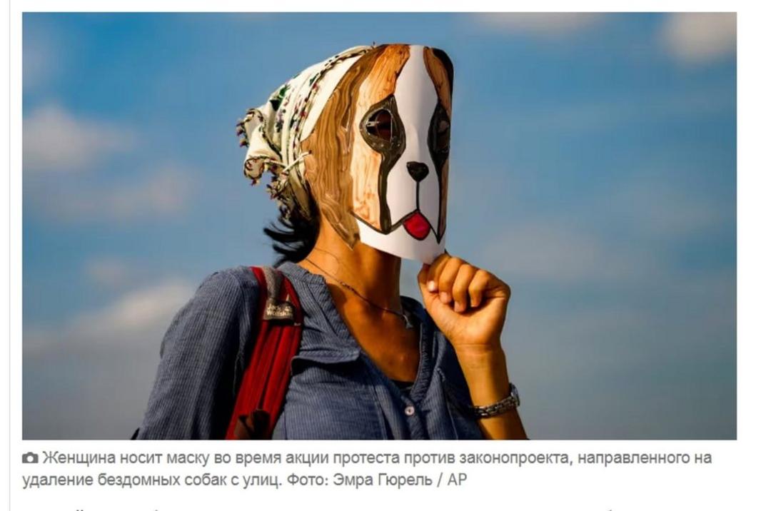 Photo from news post