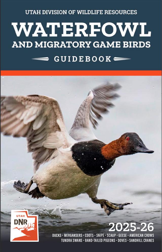 HUNTING SEASONS IN UTAH 2025–26: Deer Hunting, Big Game and Small Game, Licenses, and Regulations Guide