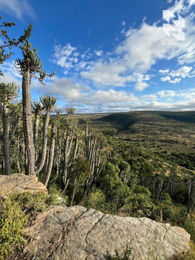 Mountain hunting in 🇿🇦 South Africa?