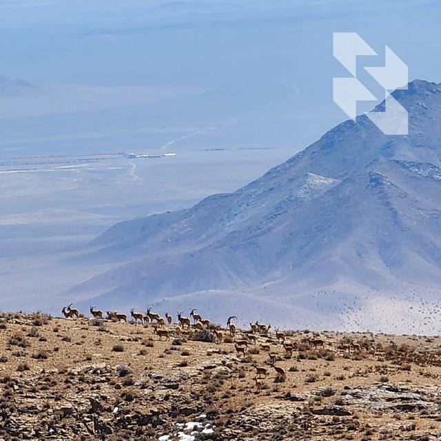 Photo from news post