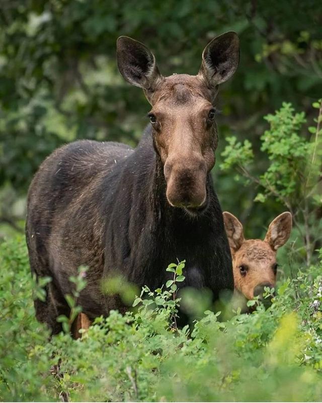 Photo from news post