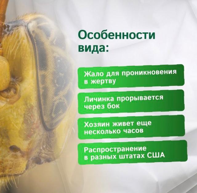 Photo from news post