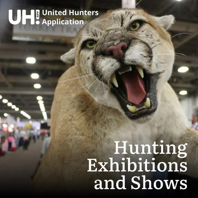 Hunting Exhibitions and Shows avatar
