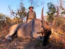MANICA SAFARI: A Unique Hunting Destination Offering Diverse Ecosystems, Traditional and Modern Techniques, and Cultural Significance for Hunters Seeking Adventure and Wi