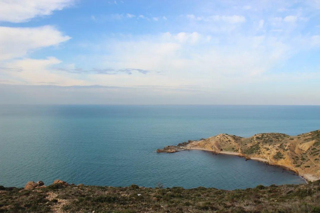 Hunting in SOUSSE: Game Species in Sousse, Hunting Seasons and Optimal Times of Hunting