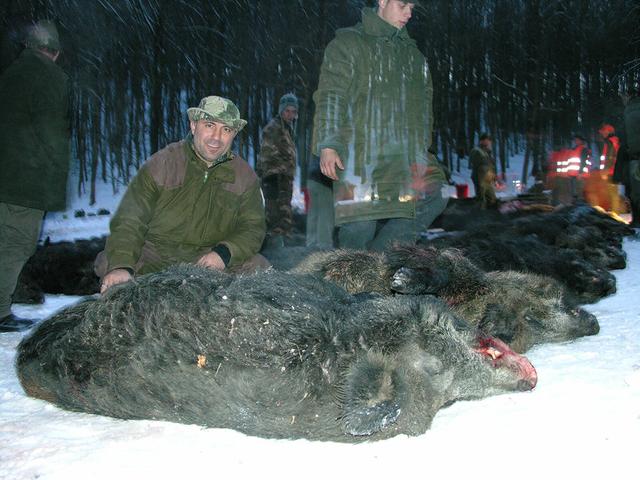 Jagd im Bezirk Krems Land: Wildvorkommen, Jagdreviere, Praxis, Rahmenbedingungen, Jägerschaft, Saisonhöhepunkte, Brauchtum, Fakten