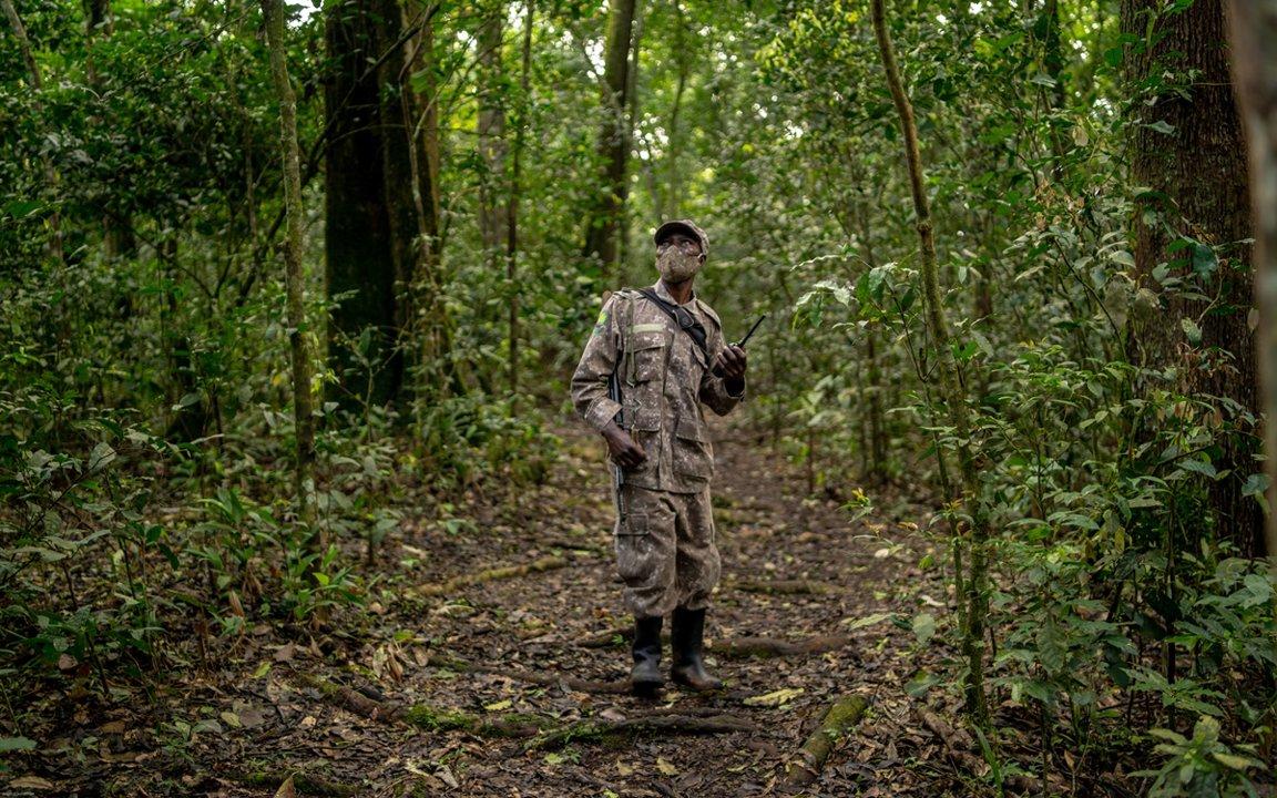 Hunting in Kamuli, Uganda: Geography and Natural Features, Hunting Demographics, Where the Nile's Secrets Await for Hunting Adventures