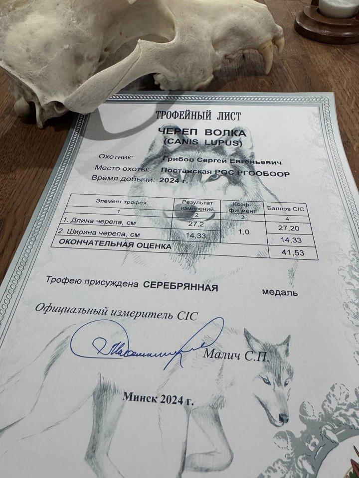 Photo from news post