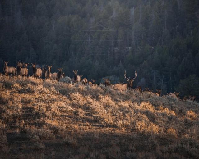 Photo from news post