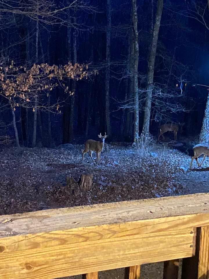 Photo from news post