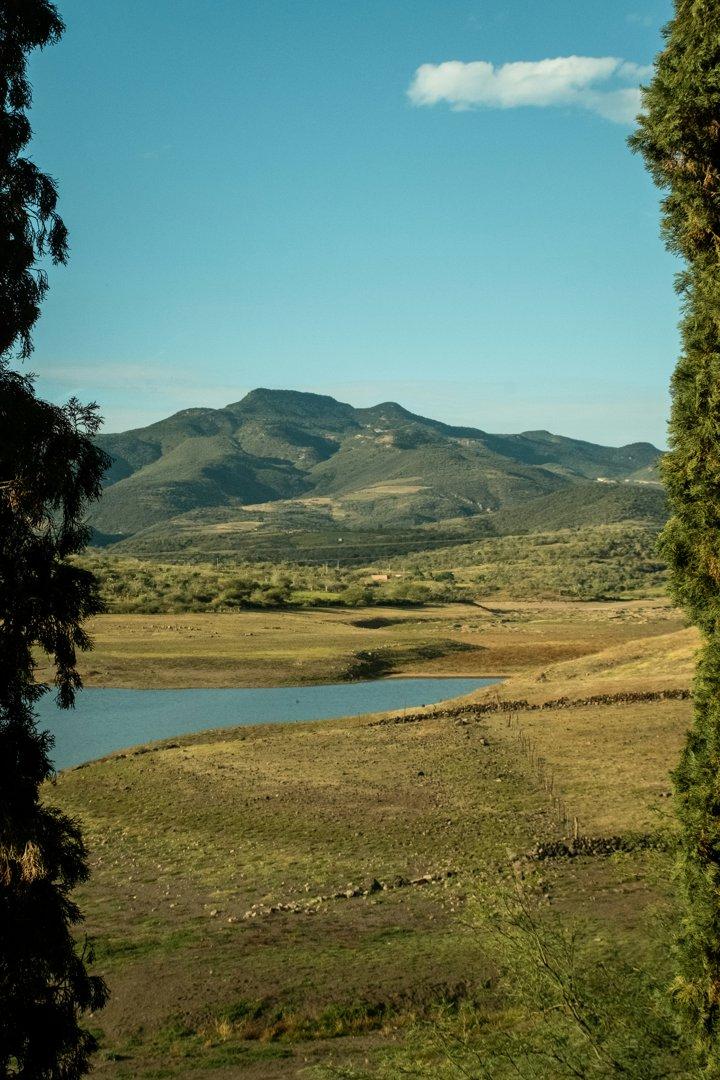 Caza en la región de la Cordillera de la Costa: varios formatos de caza, el calendario del cazador, hechos sorprendentes