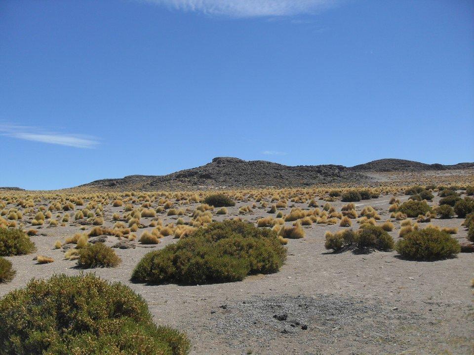 Aventuras de caza en la región del Biobío: tradiciones y naturaleza, peculiaridades de la caza y datos de interés