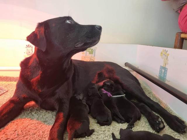 Photo from news post