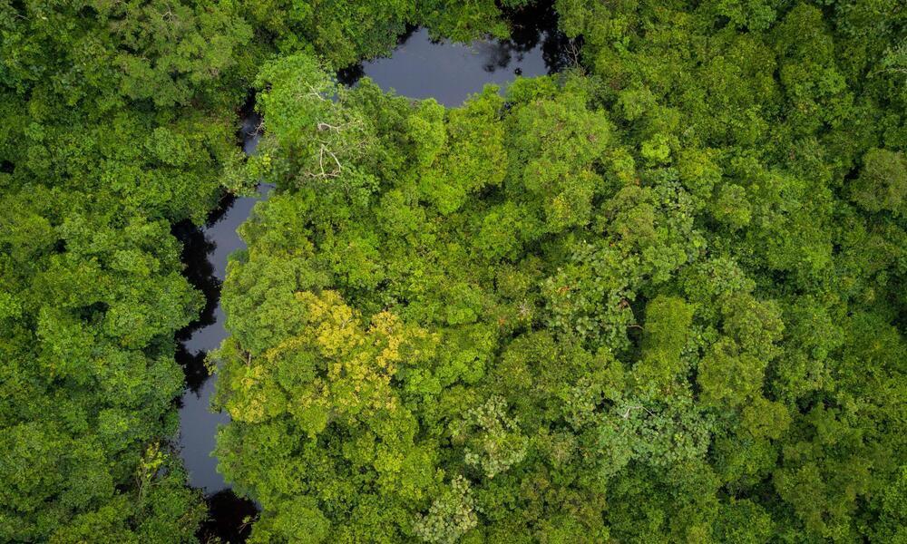 Hunting in Tshuapa: River Systems, Forest Ecosystems, and Indigenous Hunting Techniques