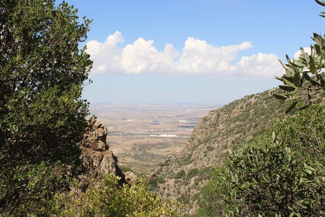 Hunting Heritage of KEF: Best Information about Hunting Laws and Legislation, Local Game Species