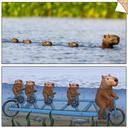 Capybara 🤣😂