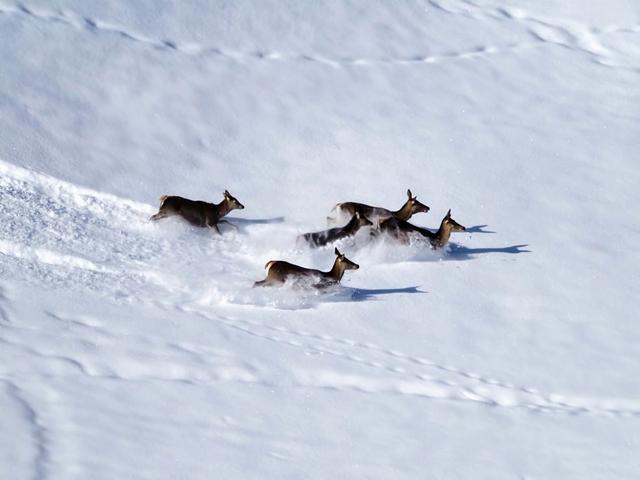 Photo from news post