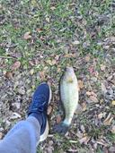 No luck today