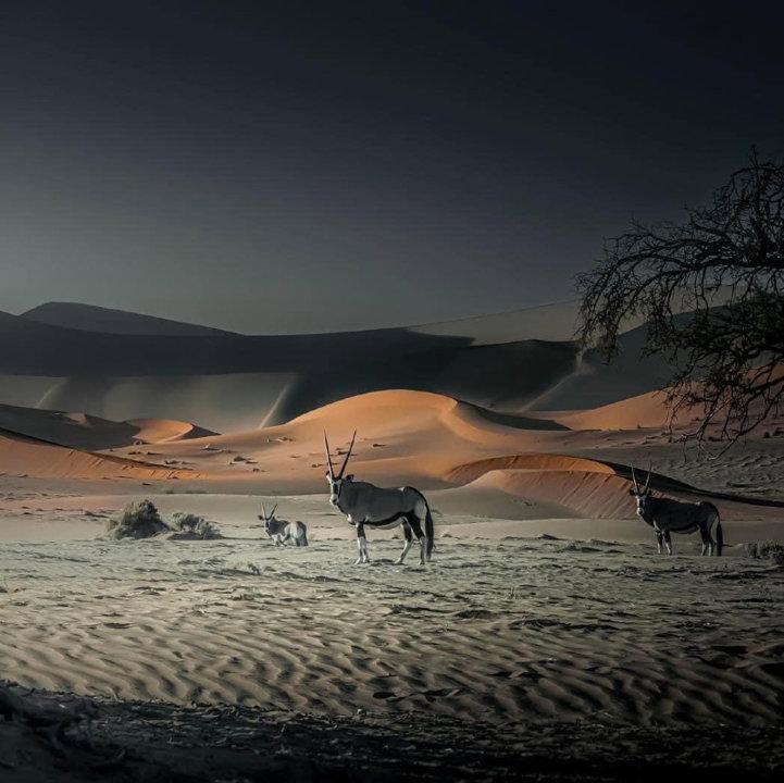 Photo from news post
