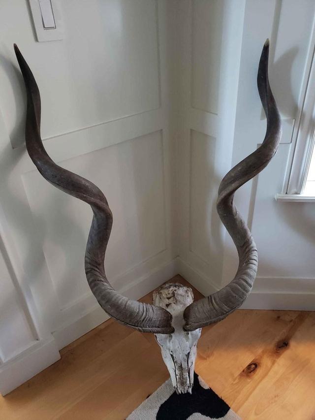 Photo from news post