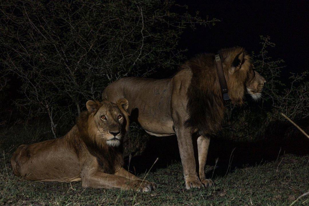 Hunting in Bududa, Uganda: Geography, Wildlife, and Traditions in Hunting in Bududa