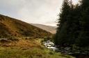 Wildfowl Hunting in Ireland: A Hunter's Guide to Wetlands. Demographics, Laws and Hunting Seasons, Associations and Clubs

Roscommon, located in the heart of Ireland, is 