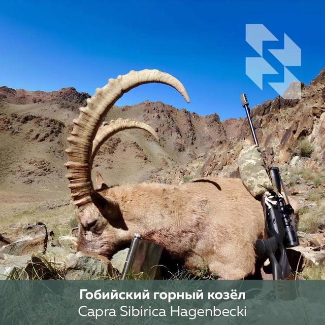 Photo from news post