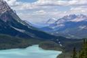 La chasse dans le PARC BANFF au Canada : Animaux emblématiques, saisons de chasse et territoires nationaux

Le parc national Banff , situé dans les montagnes Rocheuses canadiennes à 120 km à l'ouest de Calgary, est une destination prisée pour ses paysages époustouflants et sa faune sauvage diversifiée. Bien que ce parc soit surtout connu pour ses activités touristiques comme la randonnée et les croisières sur ses lacs emblématiques, il abrite également une longue histoire de pratiques de chasse qui méritent d’être explorées. Cet article se concentre sur les caractéristiques géographiques, légales et culturelles liées à la chasse dans cette région exceptionnelle. 

Caractéristiques géographiques et naturelles propices à la chasse.

Le parc national Banff s'étend sur une superficie impressionnante de 6 641 km² , offrant un terrain varié composé de forêts denses, de vallées verdoyantes, de rivières cristallines et de sommets escarpés. Ce cadre naturel constitue un habitat idéal pour une grande variété d'animaux sauvages. Les chasseurs peuvent y trouver des espèces telles que les orignaux, les wapitis, les mouflons d'Amérique, ainsi que des ours noirs et bruns. Ces conditions rendent la région particulièrement attrayante pour ceux qui cherchent à vivre une expérience authentique de chasse en pleine nature. 

Démographie locale et nombre de chasseurs  

Bien qu'il n'existe pas de chiffres précis concernant le nombre exact de chasseurs fréquentant le parc Banff, il est important de noter que la chasse y est strictement réglementée. Récemment, huit nations autochtones ont obtenu le droit de pratiquer la chasse cérémonielle au bison , une première depuis 139 ans. Cette ouverture reflète non seulement l'importance culturelle de la chasse pour ces communautés mais aussi son rôle dans la préservation des traditions ancestrales. 

Types de chasse et animaux ciblés

Dans le parc national Banff, la chasse est principalement limitée aux pratiques traditionnelles ou rituelles. Voici quelques types d’animaux qui peuvent être chassés sous certaines conditions : 
Bisons  (dans le cadre de chasses cérémonielles autorisées) 
Ongulés  tels que les wapitis et les orignaux, bien que cela nécessite souvent des permis spéciaux délivrés par Parcs Canada.
Petit gibier , incluant certains oiseaux et rongeurs. 
Il convient toutefois de souligner que la chasse sportive est généralement interdite dans le parc afin de protéger son écosystème fragile. 

Saisons de chasse et réglementations  
Les périodes de chasse sont fixées par les autorités locales et varient selon les espèces visées. Par exemple : 
La chasse cérémonielle au bison a été réintroduite en 2025, marquant un tournant historique. 
Pour les autres espèces, les saisons sont souvent courtes et soumises à des quotas stricts pour éviter toute perturbation écologique.    
Toute activité de chasse doit être approuvée par Parcs Canada , l'agence gouvernementale responsable de la gestion du parc. Les contrevenants risquent des amendes sévères voire des peines de prison. 

Associations et clubs de chasseurs locaux  

Bien que le parc lui-même ne soit pas associé à des clubs de chasseurs modernes, plusieurs organisations autochtones jouent un rôle clé dans la promotion de la chasse durable et respectueuse des coutumes ancestrales. Parmi elles figurent notamment: 
La Première Nation Stoney , dont les ancêtres utilisaient autrefois les berges du lac Minnewanka comme terrains de chasse.
D'autres groupes issus des huit nations ayant reçu l'autorisation de chasser le bison.  Ces groupes mettent l'accent sur la durabilité et la spiritualité inhérentes à leurs pratiques. 

Législation entourant la chasse

La législation canadienne encadre rigoureusement la chasse dans le parc national Banff. Seules les activités approuvées par les autorités locales sont permises, avec une attention particulière portée à la conservation de la biodiversité. Les infractions comprennent : 
L'utilisation d'armes à feu sans permis valide.
Le dépôt de déchets inappropriés, y compris lingettes et masques jetés dans les toilettes extérieures.
Toute forme de braconnage ou chasse illégale.     
Les sanctions sont dissuasives et visent à protéger l'intégrité écologique du parc.
 
Traditions locales liées à la chasse  

La chasse dans le parc Banff est profondément ancrée dans les traditions autochtones. Les Premières Nations considèrent cette pratique comme sacrée, symbolisant leur lien spirituel avec la nature. Par exemple, lors des chasses cérémonielles au bison, chaque étape – de la traque à la consommation de la viande – est réalisée avec respect et gratitude envers l'animal. Ces rituels rappellent l'importance de préserver les ressources naturelles pour les générations futures. 

Faits intéressants sur la chasse dans la région  

Une histoire millénaire  : Les traces d'activités humaines autour du lac Minnewanka remontent à plus de 10 000 ans , lorsque les peuples autochtones utilisaient déjà cette zone pour chasser et camper.
Réintroduction du bison  : Après une absence prolongée, les bisons ont été réintroduits dans le parc, permettant aux communautés autochtones de renouer avec une pratique essentielle à leur identité culturelle.
Chasses au trésor modernes  : En parallèle des activités de chasse traditionnelles, des "chasses au trésor" organisées attirent aujourd'hui les amateurs d'aventure, combinant exploration et découverte. 

La chasse dans le parc national Banff représente bien plus qu'une simple activité sportive ; elle incarne un pont entre passé et présent, reliant les pratiques modernes aux traditions séculaires des Premières Nations. Bien que très réglementée, elle offre une opportunité unique de découvrir la richesse naturelle et culturelle de cette région exceptionnelle. 