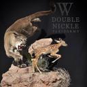 Chasing our dreams every day! Humble beginnings keep us hungry. We cherish big projects like this because we used to dream of the day we would have a client that would allow us to have creative freedom with such a massive undertaking like this. Do you have a big idea taxidermy project? We would love to hear about it! 
.
.
#taxidermy #taxidermist #taxidermybusiness #amazingtaxidermy #badasstaxidermy #bigdreams #dreambig #thankful #loveourjob #passionproject #custom #customtaxidermy #creativefreedom #chasing #chaseyourdreams #mountainlion #mountainliontaxidermy #snarling #bigcat