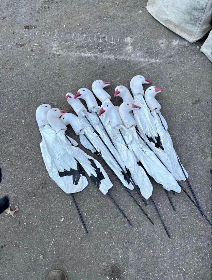 Photo from news post
